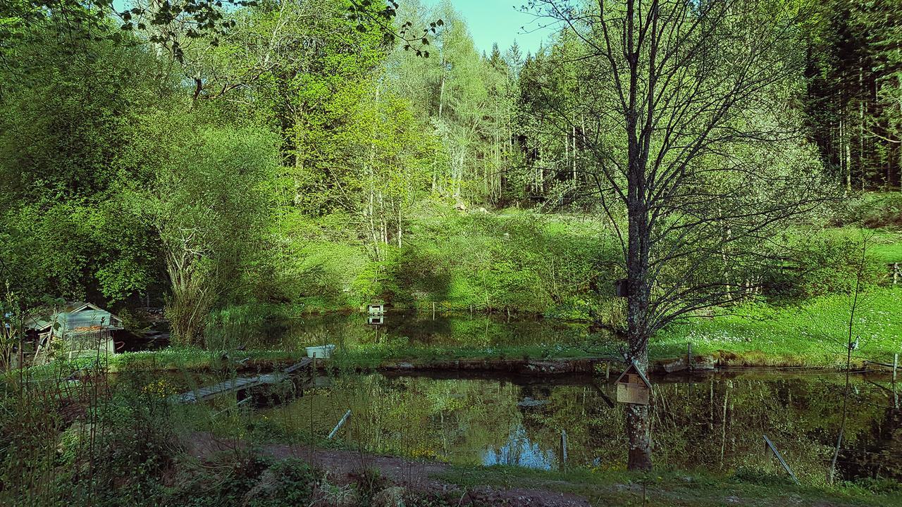 Gut Lauterbad Hotel Freudenstadt Exteriér fotografie