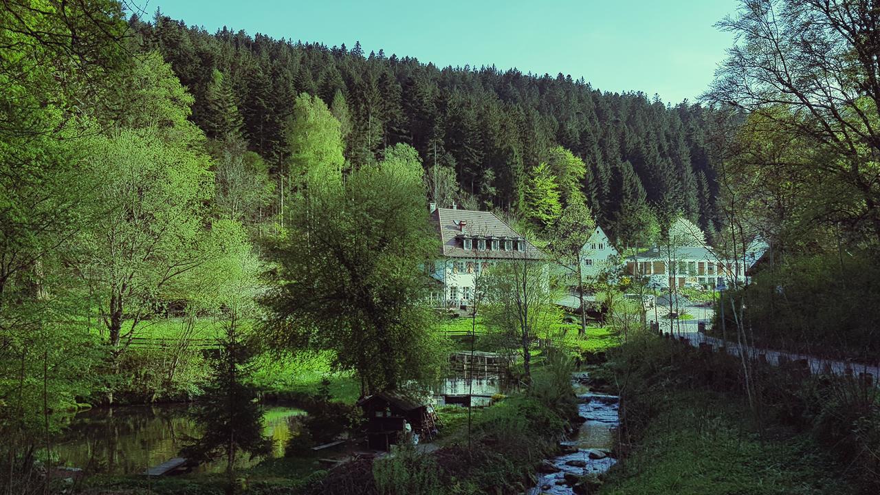 Gut Lauterbad Hotel Freudenstadt Exteriér fotografie