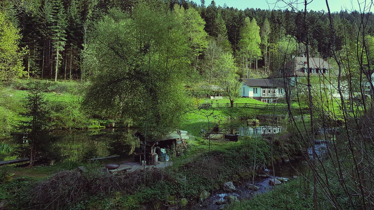 Gut Lauterbad Hotel Freudenstadt Exteriér fotografie