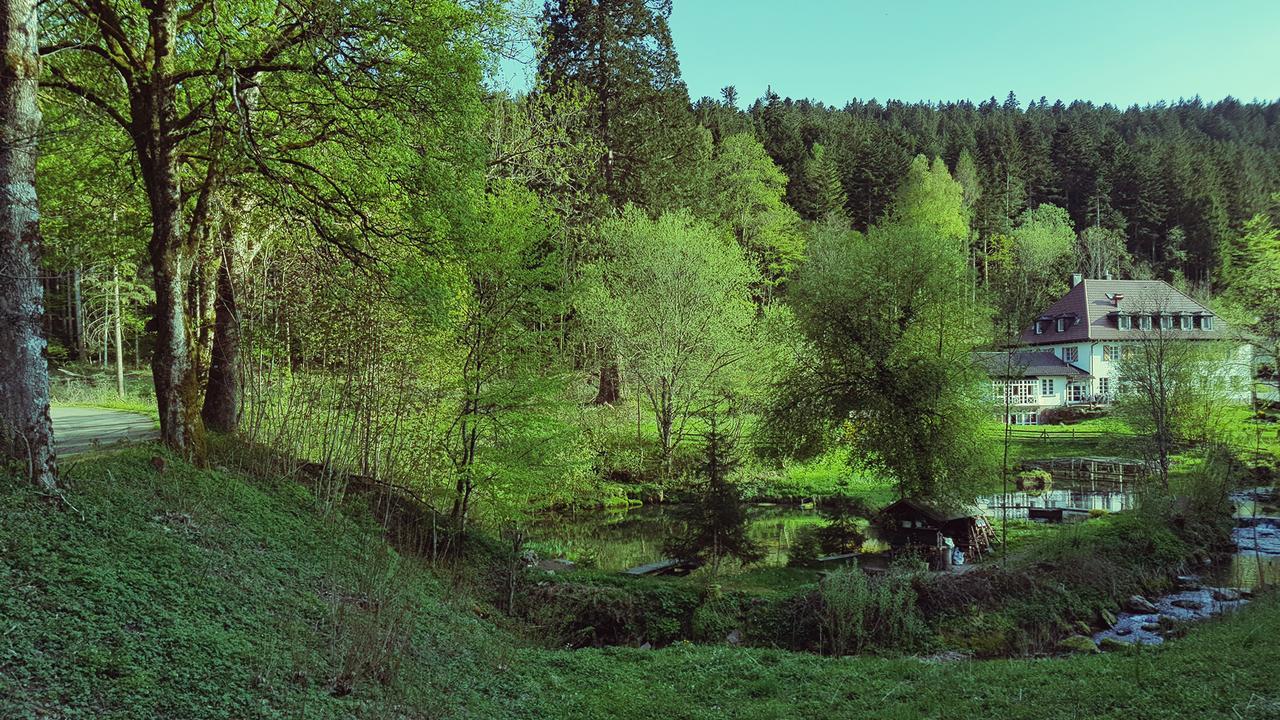Gut Lauterbad Hotel Freudenstadt Exteriér fotografie